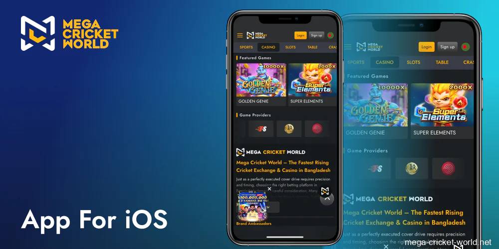 Mega Cricket World iOS app soon