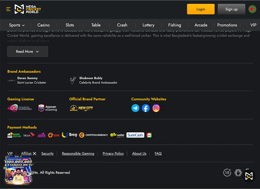 Mega Cricket World Footer